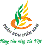 Cửa hàng